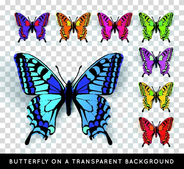 Papillon Réaliste Sur Fond Transparent — Image vectorielle