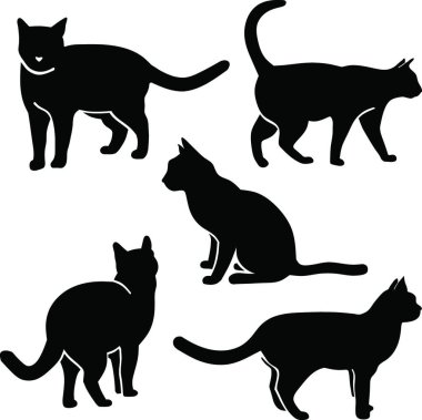 Zarif Kedi Silueti, grafik vektör çizimi 