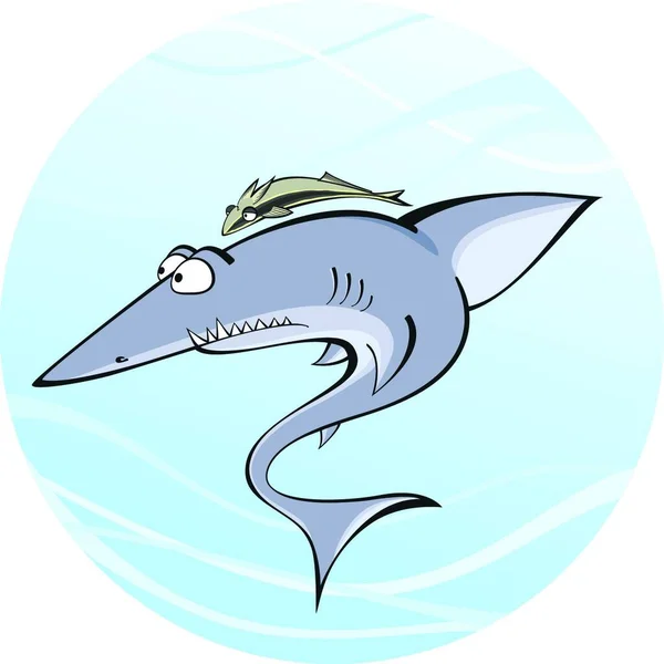 Rekin Remorą Ilustracja Wektora Graficznego — Wektor stockowy
