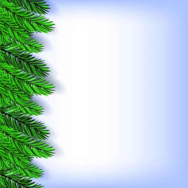 Fir Green Branches Vector Illustration — Stock Vector