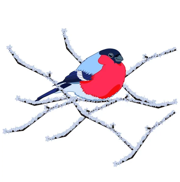 Vogel Grafische Vektorillustration — Stockvektor