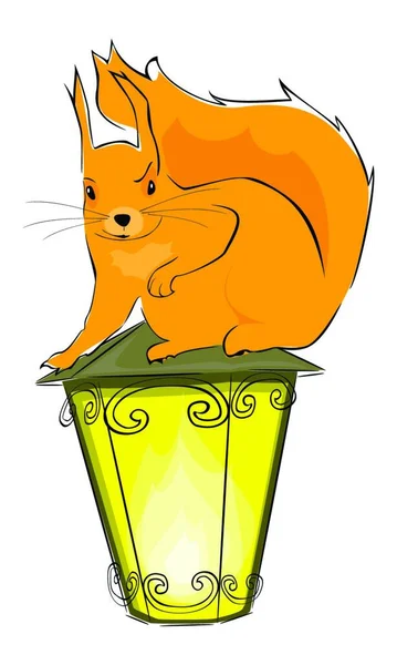 Squirrel Lantern Simple Vector Illustration — Stock Vector