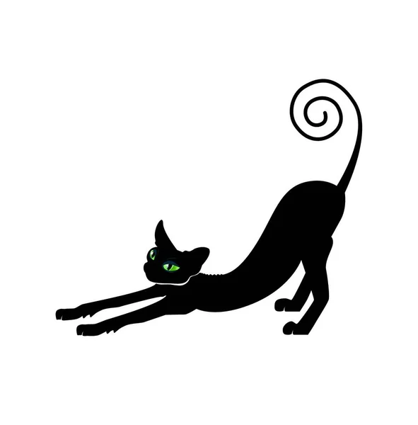 Černá Kočka Silueta Vektor Ilustrace — Stockový vektor