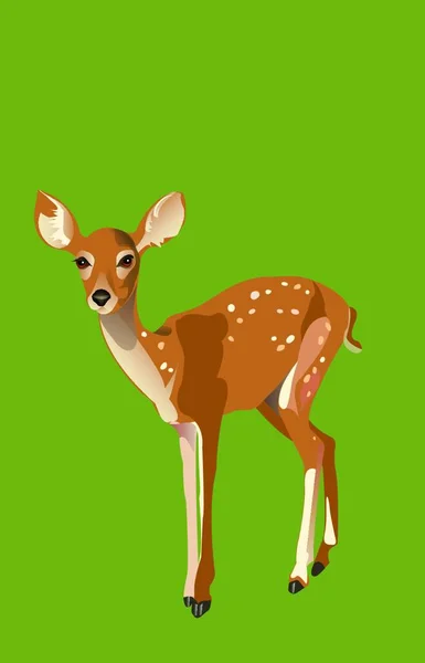 Fawn Character Vector Illustration — Stock Vector