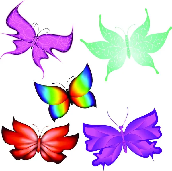 Illustration Butterflies — Stock Vector