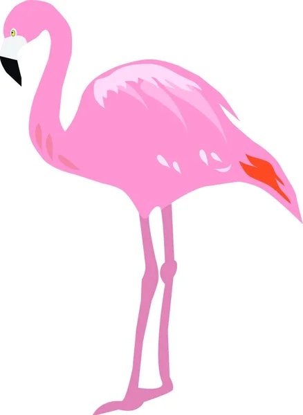 Illustratie Van Flamingo — Stockvector