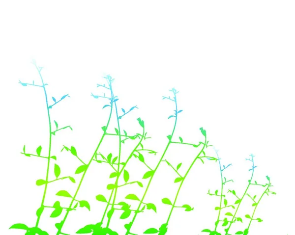 Couleur Feuille Branche Sur Blanc — Image vectorielle