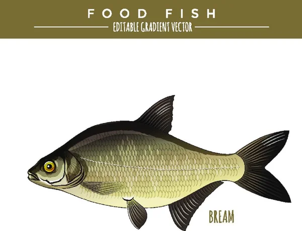 Bream Illüstrasyonu Yiyecek Balığı — Stok Vektör