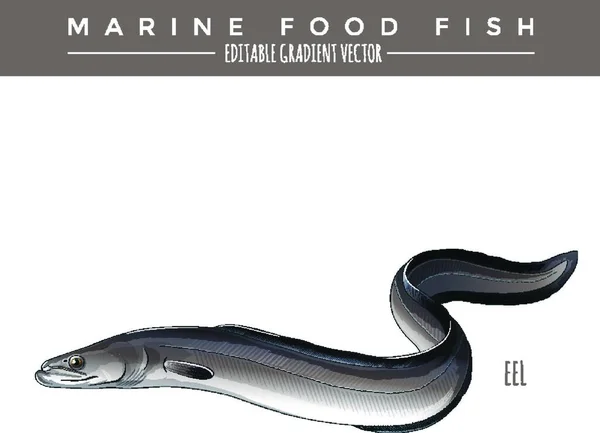 Anguille Aliments Marins Poissons — Image vectorielle