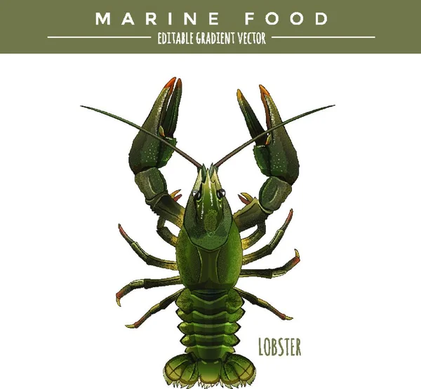 Ilustración Langosta Alimentación Marina — Archivo Imágenes Vectoriales