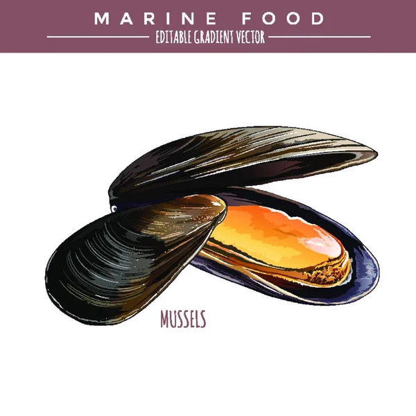 Ilustracja Małży Żywność Morska — Wektor stockowy