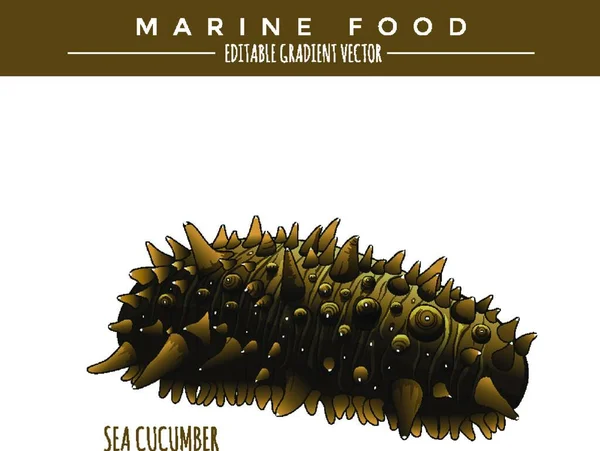 Morski Ogórek Morskich Żywności — Wektor stockowy