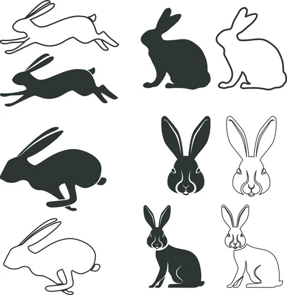 Illustration Haren — Stock vektor