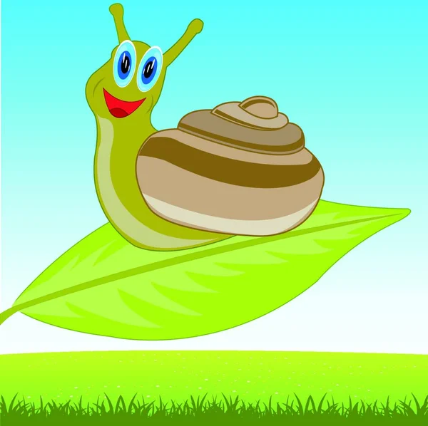 stock vector a Snail icon vector illustration 
