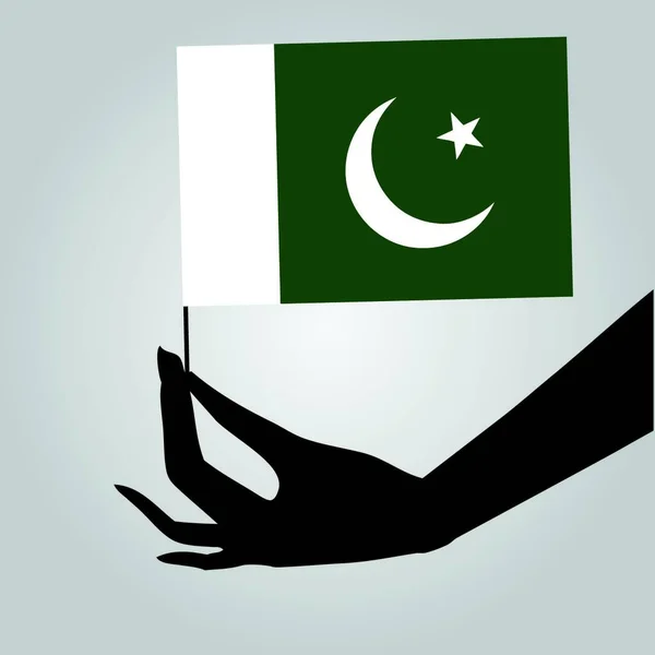 Hand Med Flagga Pakistan — Stock vektor