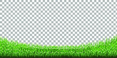 Grass Border  vector illustration 