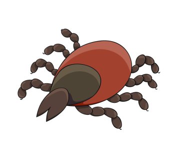 tehlikeli parazit - tik, grafik illüstrasyon