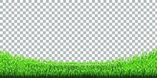 Εικονογράφηση Φορέα Grass — Διανυσματικό Αρχείο