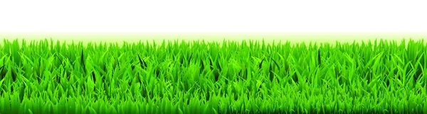 Illustration Vectorielle Grass Frame — Image vectorielle