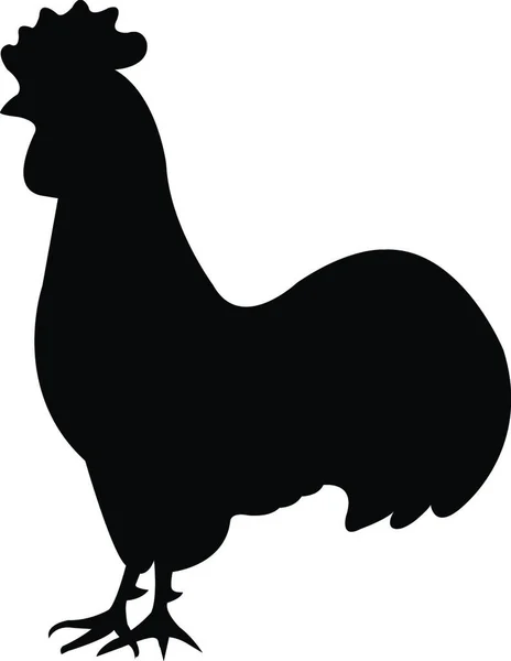 Gallo Pájaro Icono Vector Ilustración — Archivo Imágenes Vectoriales