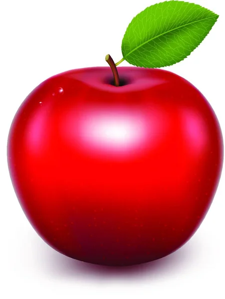 Rött Äpple Vektor Illustration — Stock vektor