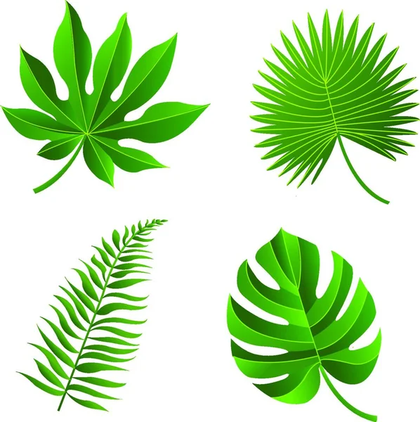 Tropical Leaf Illustration Graphique Moderne — Image vectorielle