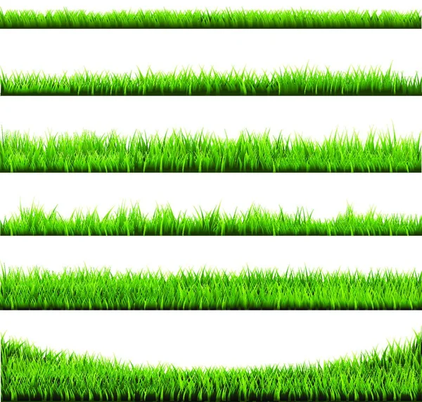 Grass Frame Modern Graphic Illustration — Stock Vector