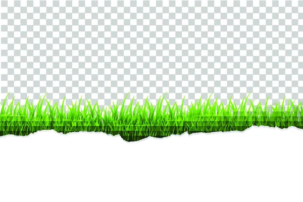 Περίγραμμα Grass Διανυσματική Απεικόνιση Απλό Σχέδιο — Διανυσματικό Αρχείο
