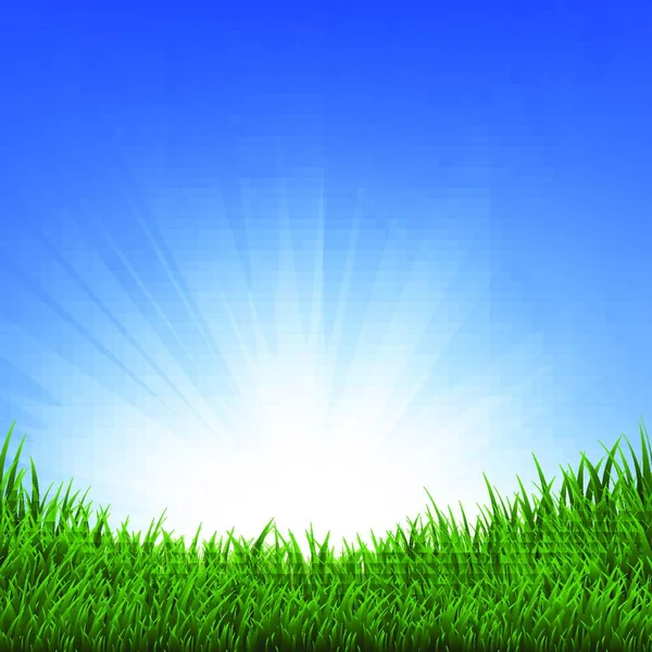 草与太阳光 矢量图解简单设计 — 图库矢量图片