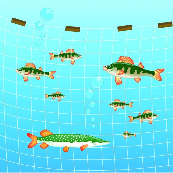 Fiske Nätverk Och Fisk Floden — Stock vektor