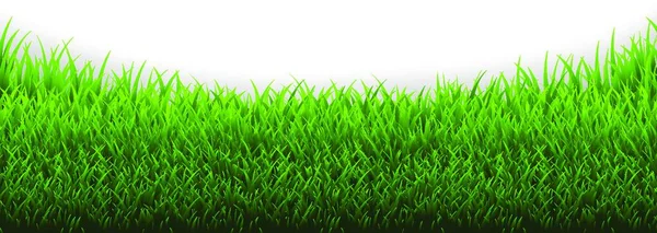 Grass Panorama Διανυσματική Απεικόνιση Απλό Σχέδιο — Διανυσματικό Αρχείο
