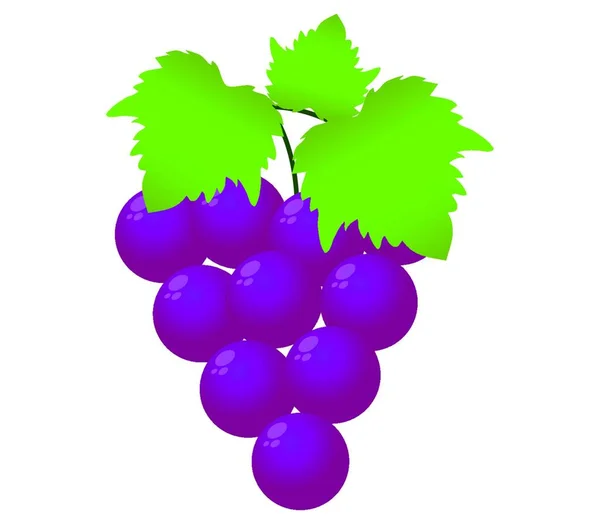 Виноградна Ікона Векторна Ілюстрація Простий Дизайн — стоковий вектор