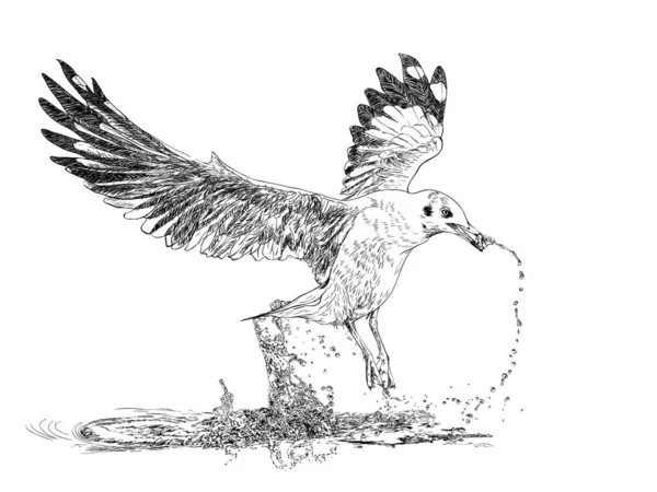 Illustration Fuglen – Stock-vektor