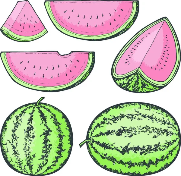 Vattenmelonskisser Enkel Vektorillustration — Stock vektor