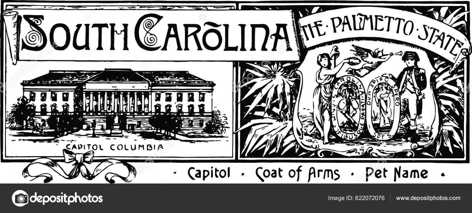 State Banner South Carolina Palmetto State Vintage Stock Vector by ©YAY