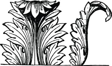 Acanthus Dekorasyonu, bir mimari, vektör illüstrasyon tasarımının bir akanthus dekorasyonudur.
