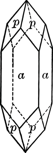 Apophyllit Graverad Enkel Vektor Illustration — Stock vektor