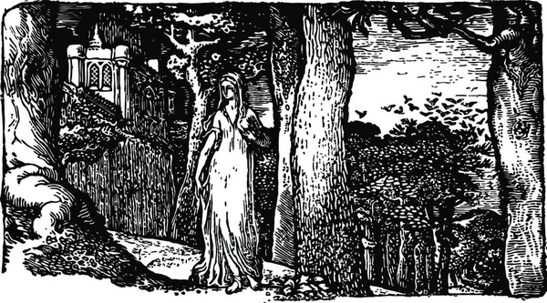Lady Rooks Гравировка Винтажном Рисунке Деревянного Блока — стоковый вектор