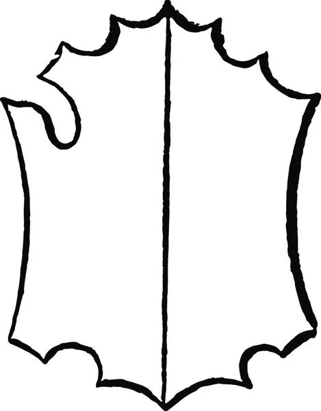 Escudo Bouche Ornamentado Com Uma Guarnição Decorativa Por Divis Pálido — Vetor de Stock