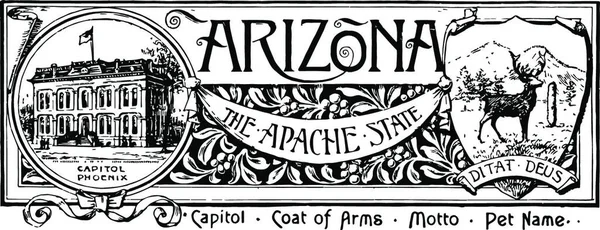 Das Staatsbanner Von Arizona Der Apache State Vektor Illustration Design — Stockvektor
