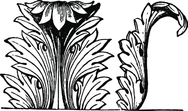 Acanthus Decoration Акантус Украшающий Архитектурный Векторный Рисунок — стоковый вектор