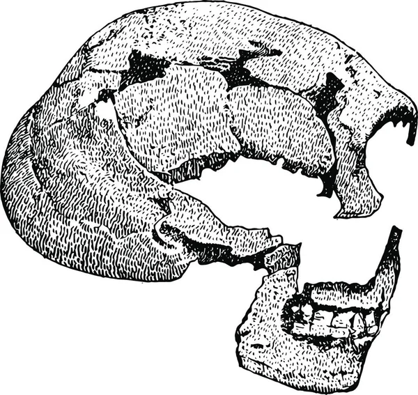 Skull Man Spy Vintage Vektor Illustration Design — Stock vektor