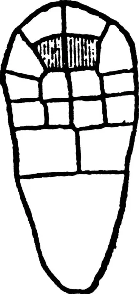 布莱森塔 雕刻的简单矢量图解 — 图库矢量图片