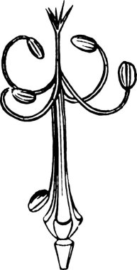 Meyve, oymalı basit vektör illüstrasyonu