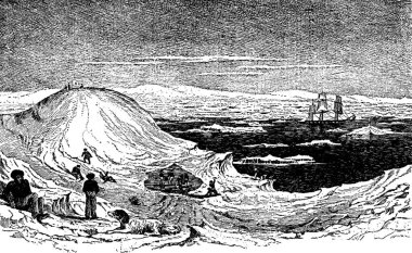 Antarktika siyah ve beyaz vintage vektör çizimi