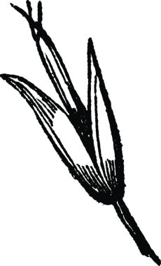 Siyah beyaz yapıştırıcı vektör illüstrasyonuName