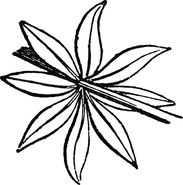 Черно Белая Винтажная Векторная Иллюстрация Бакки — стоковый вектор