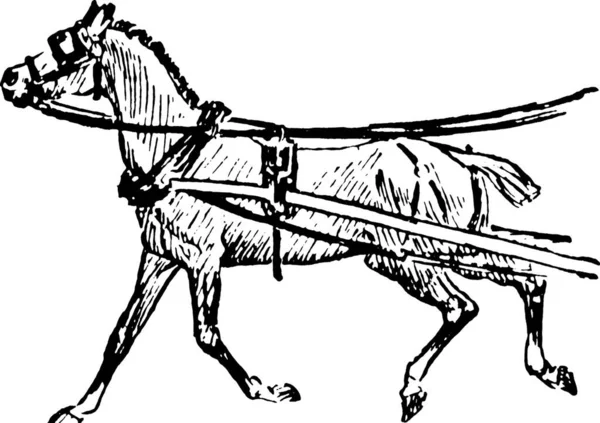 Häst Graverad Enkel Vektor Illustration — Stock vektor