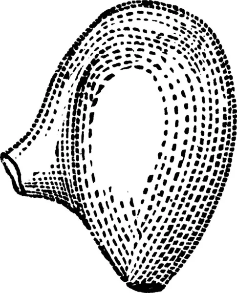 Мальва Вигравірувана Проста Векторна Ілюстрація — стоковий вектор