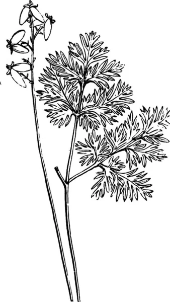 Ilustración Vector Vintage Flor Blanco Negro — Archivo Imágenes Vectoriales
